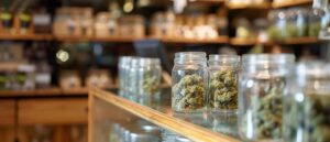 Two people at home examining a cannabis edible and a dosage dropper on their kitchen table.