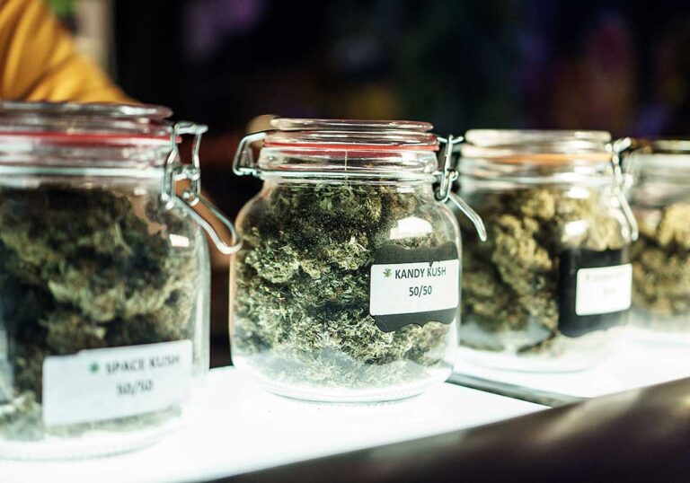 A person reviewing cannabis product options with a dispensary staff member at a consultation counter.